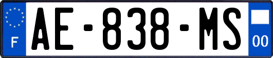 AE-838-MS