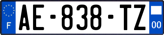 AE-838-TZ