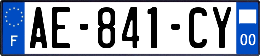 AE-841-CY