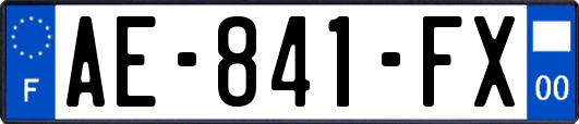 AE-841-FX