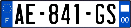 AE-841-GS