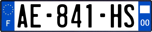 AE-841-HS