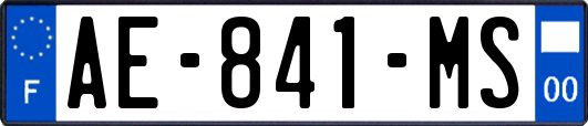 AE-841-MS