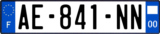 AE-841-NN
