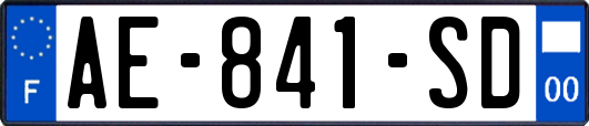 AE-841-SD