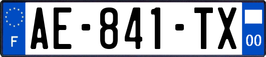 AE-841-TX