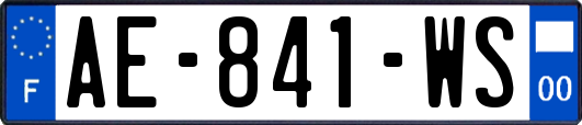 AE-841-WS