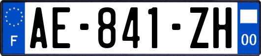 AE-841-ZH