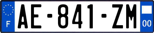 AE-841-ZM