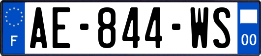 AE-844-WS