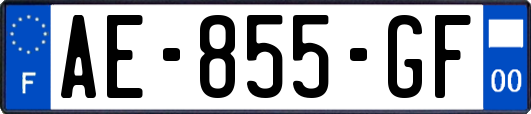 AE-855-GF