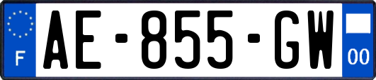 AE-855-GW