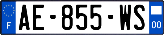 AE-855-WS