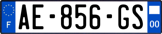 AE-856-GS