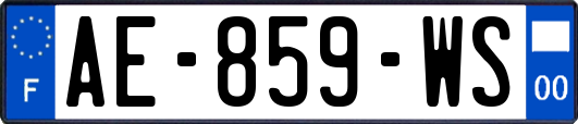 AE-859-WS