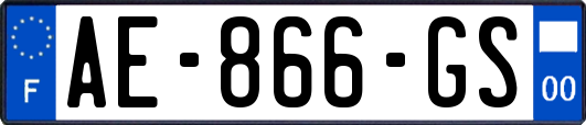 AE-866-GS