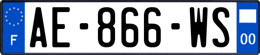 AE-866-WS