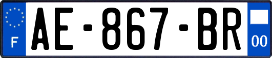 AE-867-BR