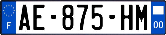 AE-875-HM