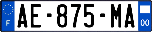 AE-875-MA
