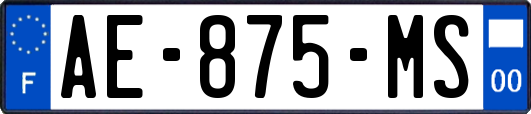 AE-875-MS