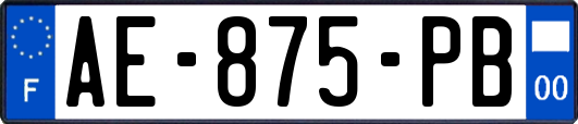 AE-875-PB