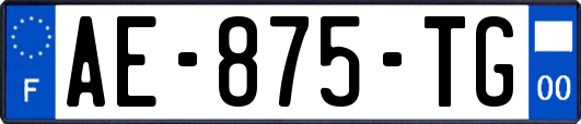 AE-875-TG