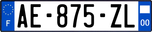 AE-875-ZL