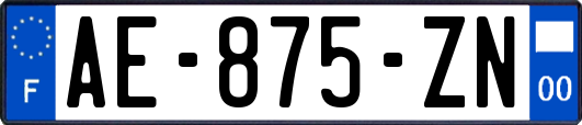 AE-875-ZN