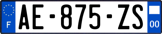 AE-875-ZS