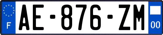 AE-876-ZM