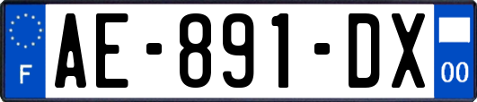 AE-891-DX