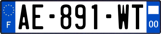 AE-891-WT