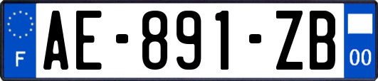 AE-891-ZB