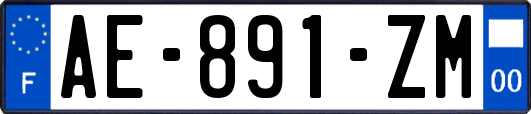 AE-891-ZM