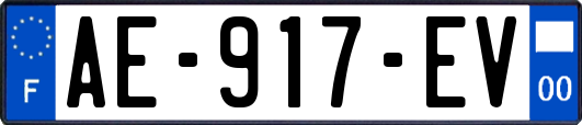 AE-917-EV