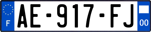 AE-917-FJ