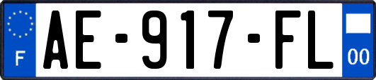 AE-917-FL