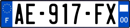 AE-917-FX