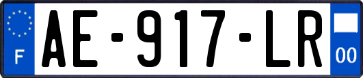 AE-917-LR
