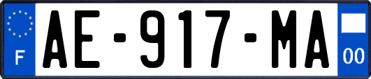 AE-917-MA