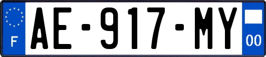 AE-917-MY