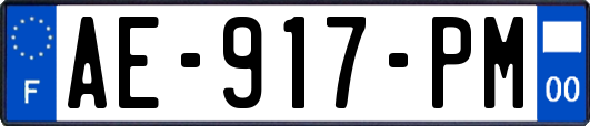 AE-917-PM
