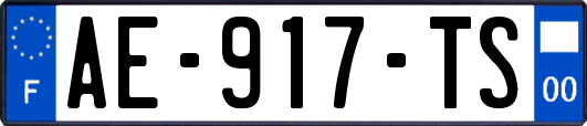 AE-917-TS