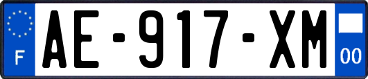 AE-917-XM