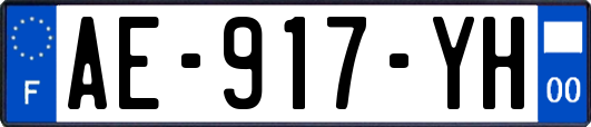 AE-917-YH