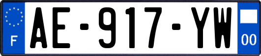 AE-917-YW