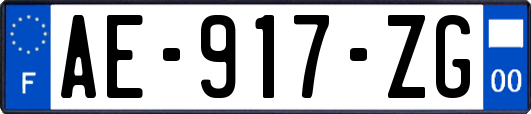 AE-917-ZG