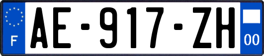 AE-917-ZH