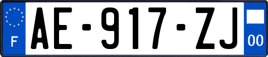 AE-917-ZJ